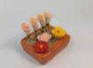 Imagen de Mini maceta Terrario de Flores y cartuchos