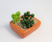 Imagen de Mini maceta terrario de cactus