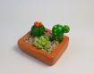 Imagen de Mini maceta  terrario de cactus