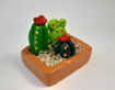 Imagen de Mini maceta  Terrario  Familia de Cactus