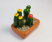 Imagen de Mini maceta  Terrario mix Cactus Altos
