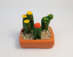 Imagen de Mini maceta  Terrario mix Cactus Altos
