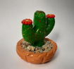Imagen de Cactus con bracitos