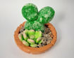 Imagen de Cactus Mickey & suculenta