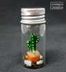 Imagen de Botellita con mini cactus Bracitos