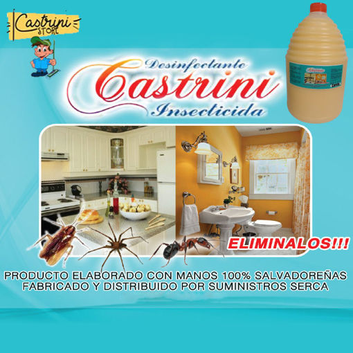 Imagen de Desinfectante para piso bactericida e  Insecticida Castrini (Galon)