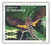 Imagen de Flores e Insectos - 2003