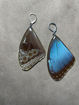 Imagen de Aretes con ala de mariposa morfo azul